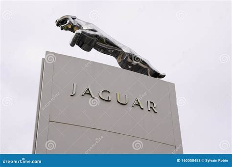 jaguar store online.